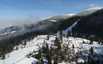 Free Stock Video Winter Snow Trees Covering Mountains