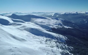 Free Stock Video Winter Nature At A Sunny Day