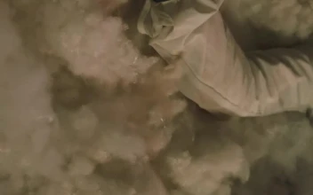 Free Stock Video Winter Makeup Girl Lying On Cotton