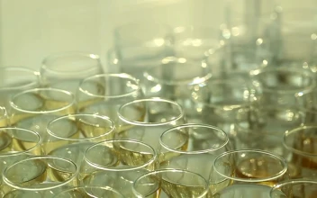 Free Stock Video Wine Glasses With Champagne