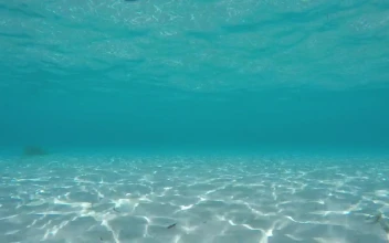 Free Stock Video White Sand Below The Surface