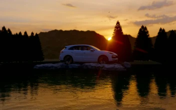 Free Stock Video White Off Road Vehicle In A Forest At Sunset