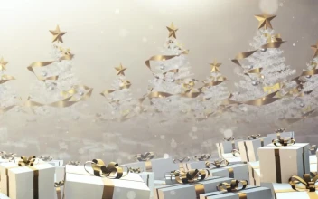 Free Stock Video White Christmas Trees And Gifts