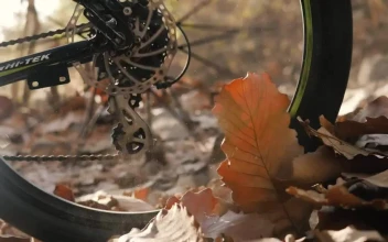 Free Stock Video Wheel Of A Bicycle Riding Fast On Dry Leaves