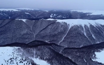 Stock Footage Winter Mountains With Lots Of Vegetation