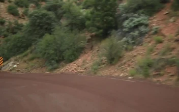 Stock Footage Winding Roads Through Zion