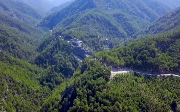 Stock Footage Winding Road Through A Mountain Forest