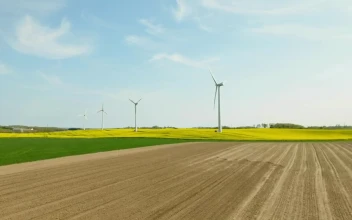 Stock Footage Wind Turbines On The Horizon