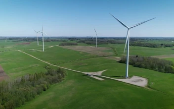 Stock Footage Wind Turbines On A Green Field