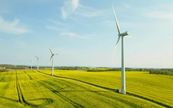 Stock Footage Wind Turbines On A Bright Day
