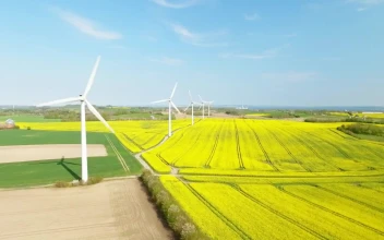 Stock Footage Wind Turbines In The Sun