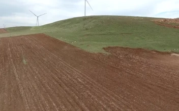 Stock Footage Wind Turbines In A Vast Green Plain