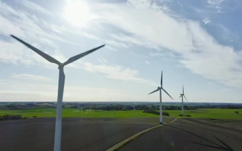 Stock Footage Wind Turbines During The Summer