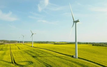 Stock Footage Wind Turbines In A Field