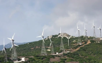 Stock Footage Wind Farm On A Hill