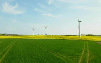 Stock Footage Wind Farm In The Sun