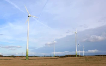 Stock Footage Wind Farm In A Ploughed Field
