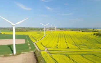 Stock Footage Wind Farm In Summer
