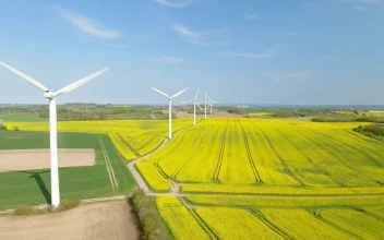 Stock Footage Wind Farm Generating Electricity