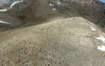 Stock Footage Wild Horses Running In The Top Of A Mountain