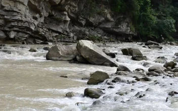 Stock Footage Wide River Flowing Over Rocks And Stones