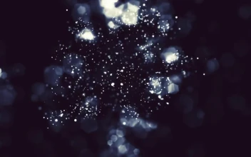 Stock Footage White Particles Moving On Black Background