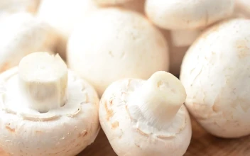 Stock Footage White Mushrooms In Detail