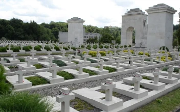 Stock Footage White Crosses At A Cemetery