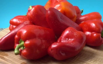 Stock Footage Wet Red Pepper Texture