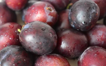 Stock Footage Wet Plums Texture