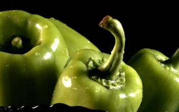 Stock Footage Wet Green Chili Peppers Advertising Concept