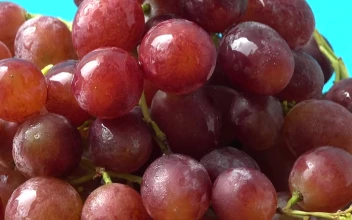 Stock Footage Wet Grapes Texture Spinning Shot