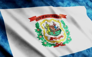 Stock Footage West Virginia State Flag Waving In D
