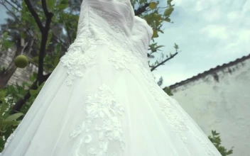 Stock Footage Wedding Dress Hanging On A Tree