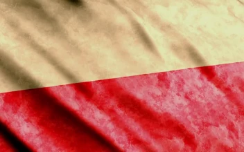 Stock Footage Weathered Flag Of Poland Waving