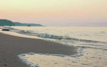 Stock Footage Waves Washing Up Against A Clean Beach