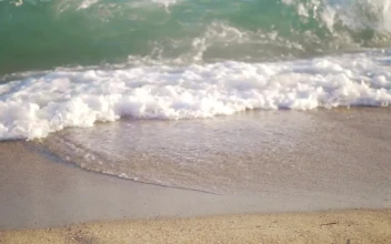 Stock Footage Waves Rolling Over Sand