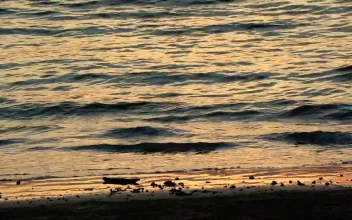 Stock Footage Waves Reflecting A Calm Sunset
