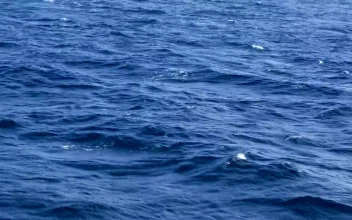 Stock Footage Waves Out On The Ocean