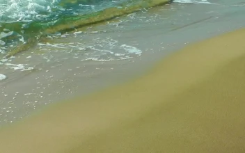 Stock Footage Waves On A Beach Viewed In A Close Take