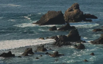 Stock Footage Waves Hitting Rocks On The Beach