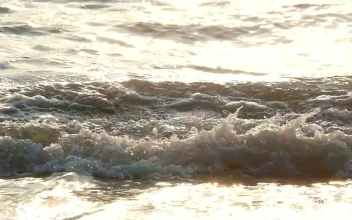 Stock Footage Waves Creating Foam At The Coast
