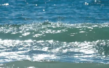 Stock Footage Waves Crashing