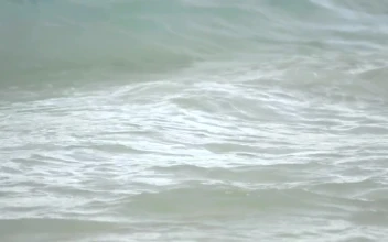 Stock Footage Waves Crashing In Slow Motion
