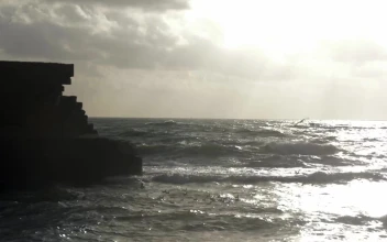 Stock Footage Waves Breaking As Birds Fly Over