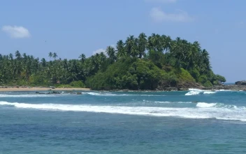 Stock Footage Waves Arriving At A Tropical Beach