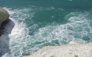 Stock Footage Waves Against Chalk Cliffs