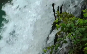 Stock Footage Waterjet Of A Waterfall Seen Close
