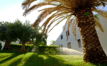 Stock Footage Watering The Grass At Home