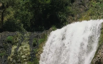 Stock Footage Waterfall Landscape